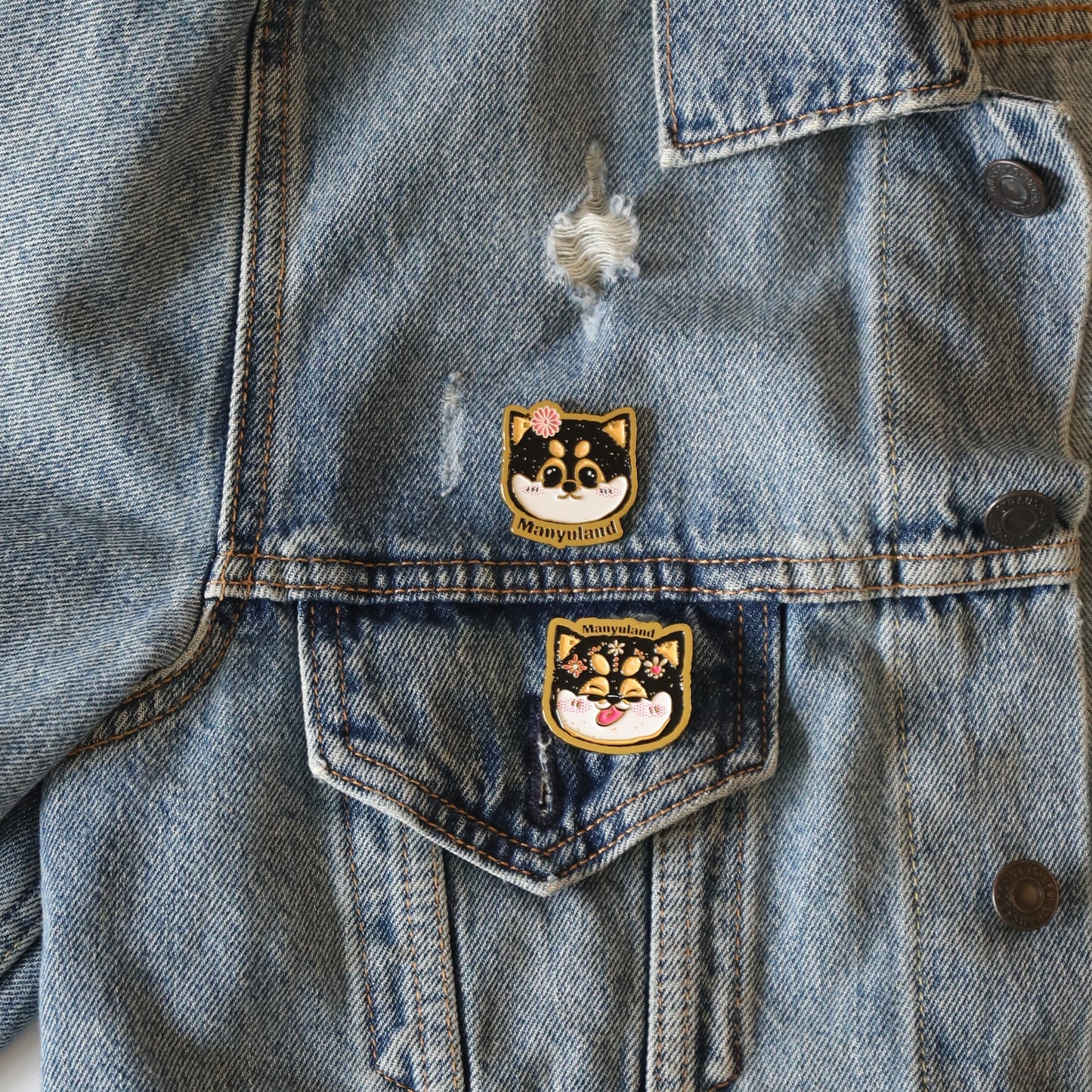ManyuLand™ Magnet – Erer Artist Series