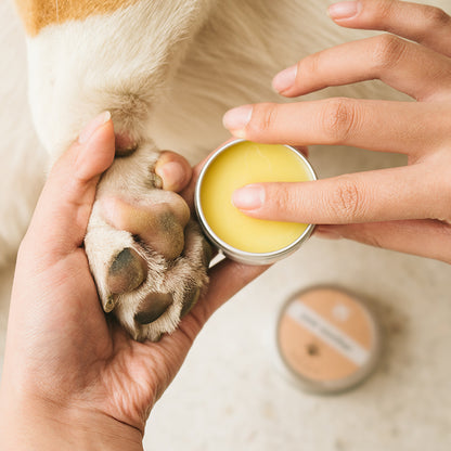 Sea Buckthorn Fruit Foot Balm for Pets